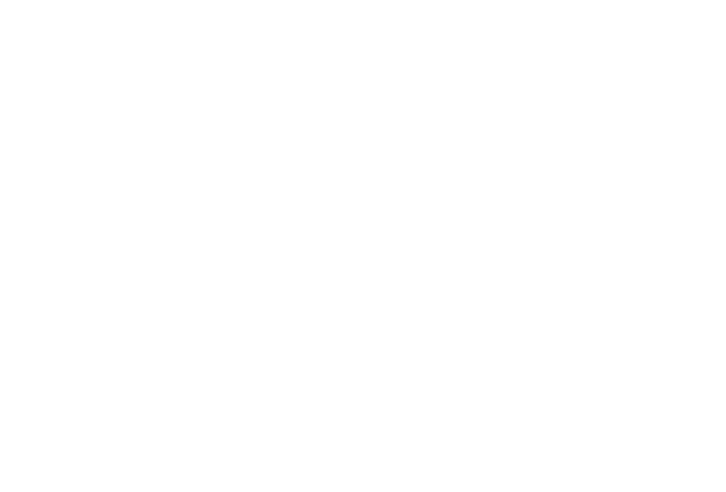logo Timmeren Defever